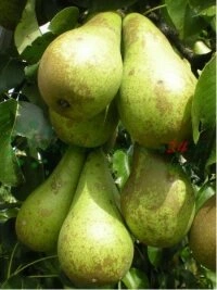 Aluste tootmisest lõpptoote müügini kõigi tootmisprotsesside juhtimine